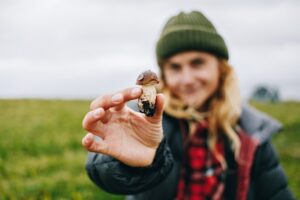 Wo gibt es jetzt Pilze in Sachsen? Tipps für erfolgreiche Pilzsuche in Sachsen