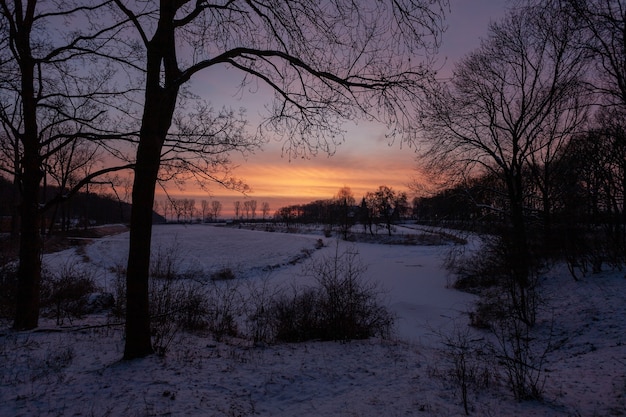 Wann ist die längste Nacht in Deutschland? Alles über die Wintersonnenwende und die längste Nacht des Jahres