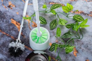 Wieso Sind Blätter Grün? Warum Pflanzen grün erscheinen und welche Rolle das Chlorophyll spielt