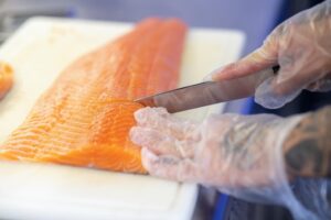 Woraus Bestehen Fischschuppen? Aufbau und Funktion von Fischschuppen einfach erklärt